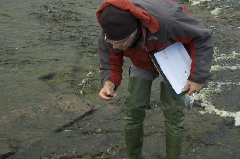 Sampling in the Trout Beck. Photo: UKCEH