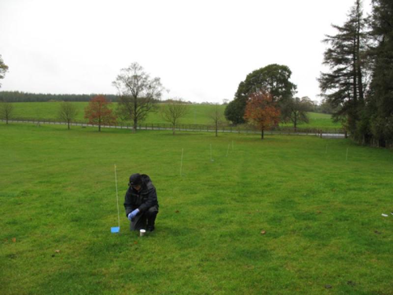 Person monitoring in grassland at ECN Hillsborough