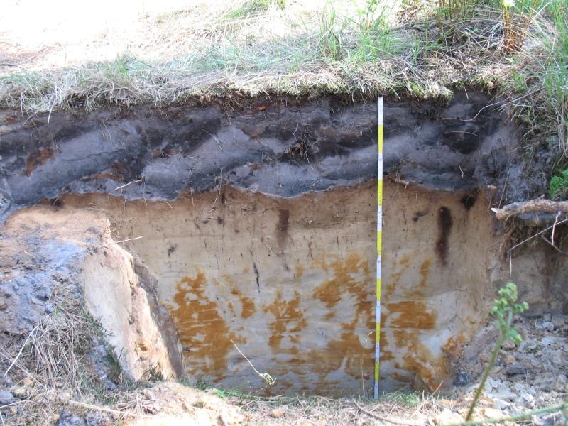 Soil profile