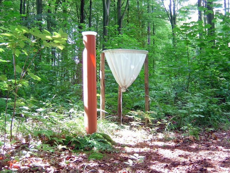 litterfall trap and througfall precipitation sampling at the Level-II site