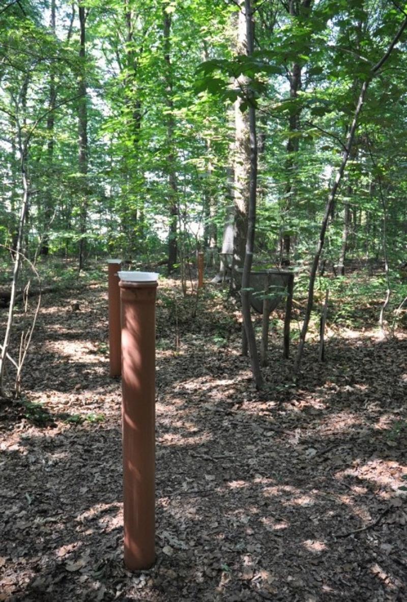 Litterfall samplers and throughfall collectors in the Level II plot