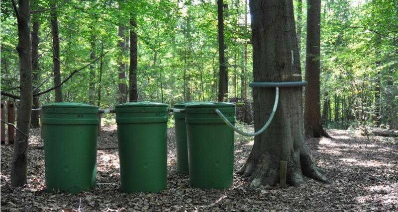 Stemflow collector in the Level II plot