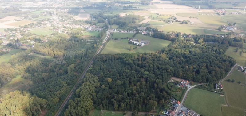 Aerial view of the forest