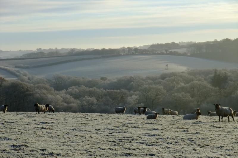 Farmland in winter at ECN North Wyke