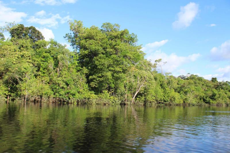 Jaú National Park - Brazil | DEIMS-SDR