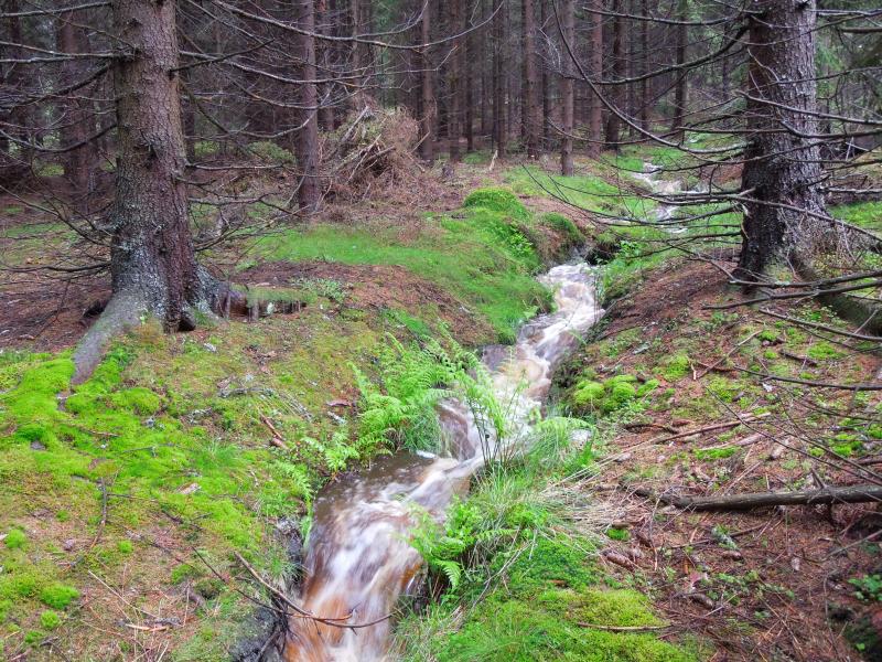 Stream channel at Pluhuv Bor during a flood (June 2, 2013)