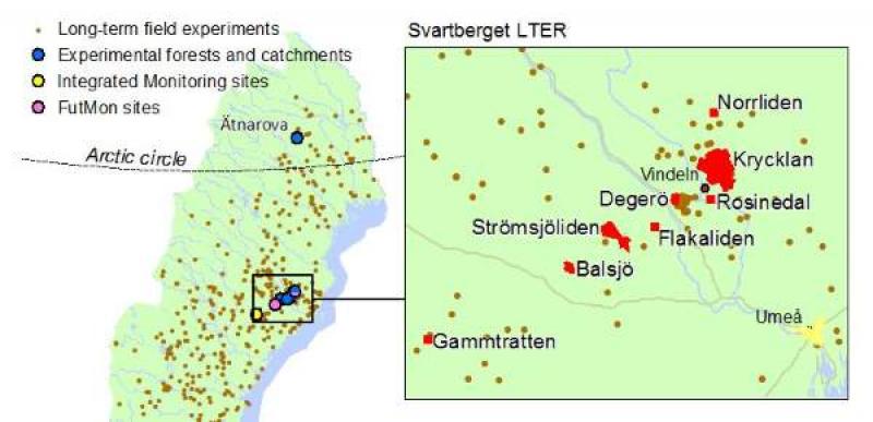 Site map of Svartberget LTER