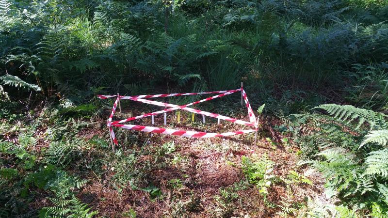 Sampling location for the TeaComposition study