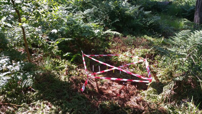 Sampling location for the TeaComposition study