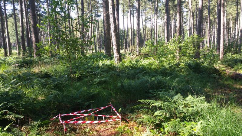 Sampling location for the TeaComposition study