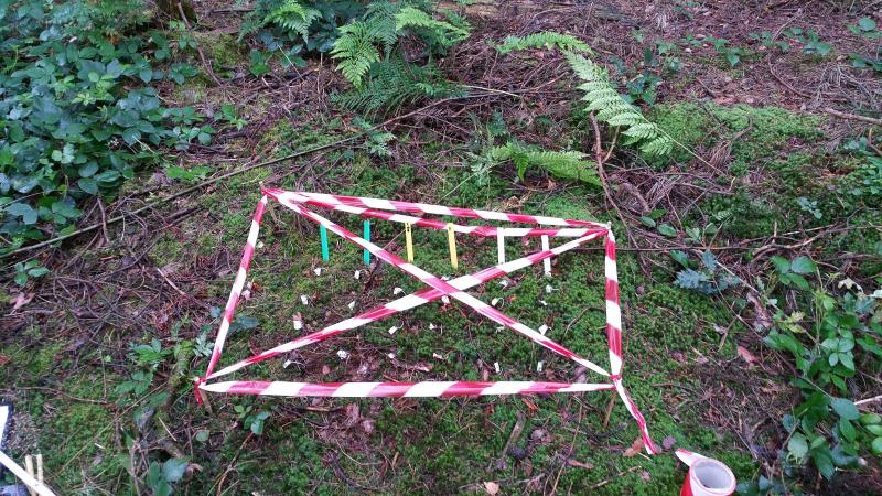 Setup for the TeaComposition experiment