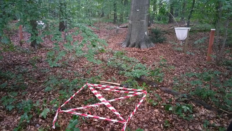 View of the Level II plot with in front one of the plots for the TeaComposition study