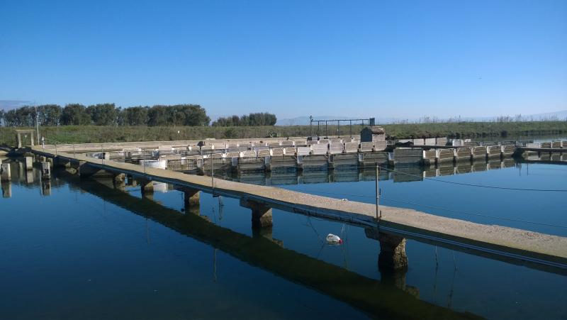 Fish catching structures