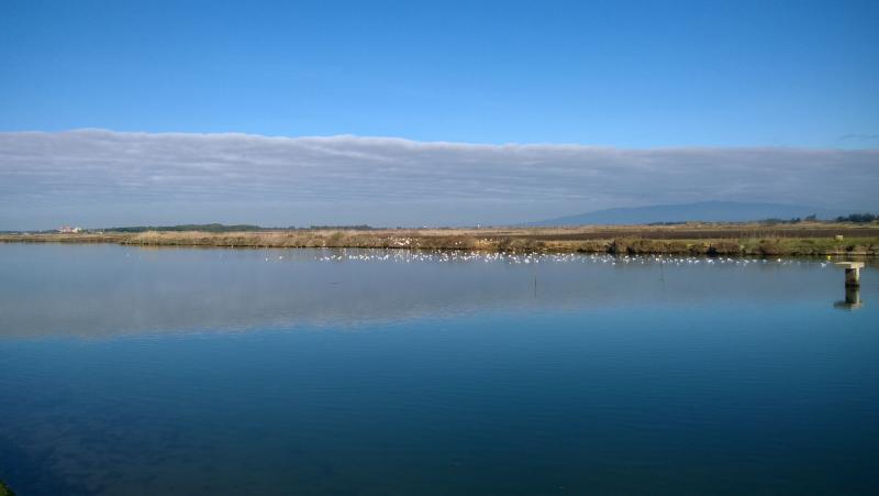 View of Santa Giusta Lagoon