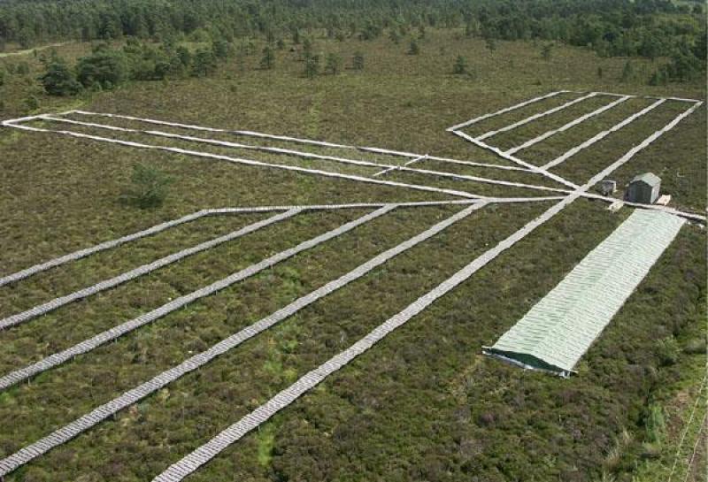 Overview of the site