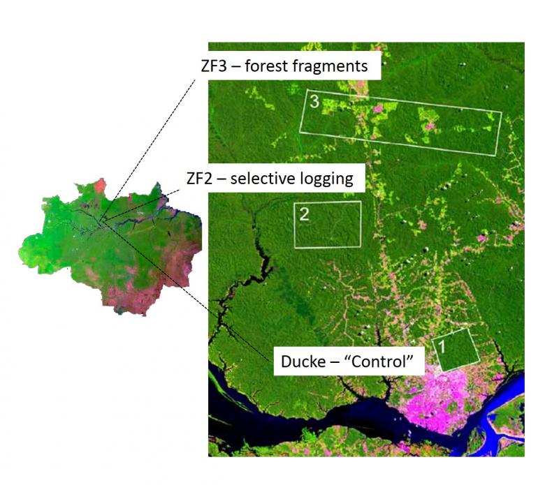 Distribution of sub-sites of the IAFA LTER site