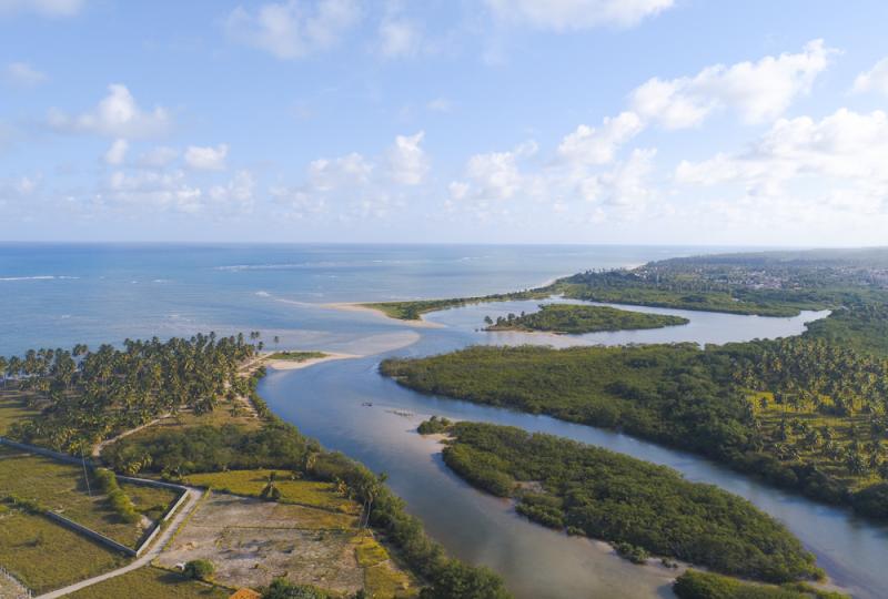 Extensive and conserved mangrove forests used by endangered species as manatee