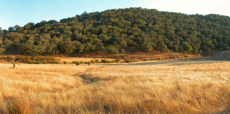 photo credits: Pedro Pinho