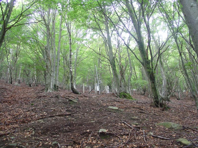Meteorological station (stand) on the LWF plot Isone. Photo: Anne Thimonier Rickenmann, 2011