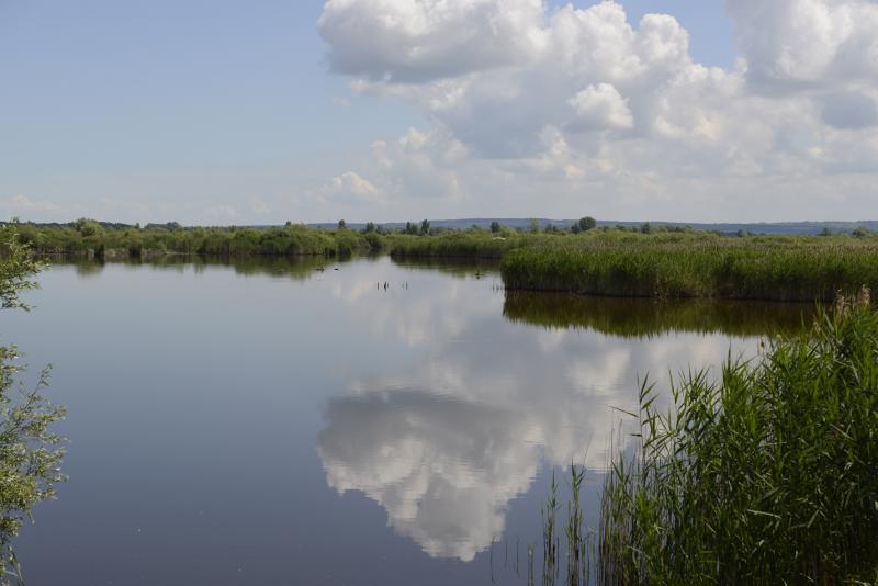 Balaton LTSER, Kis-Balaton LTER site