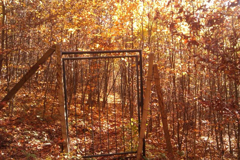 gateway to the Ecological Experimental Station