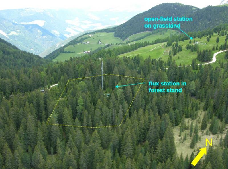 Aerial view of the LTER_EU_IT_029 site