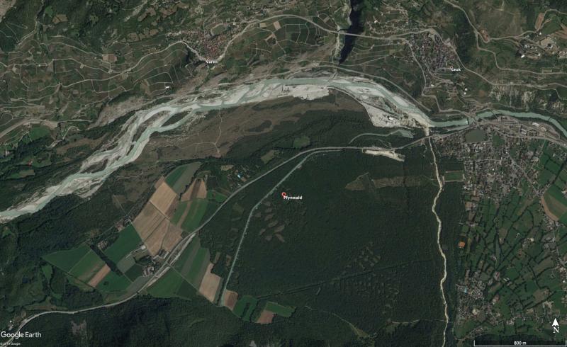 Google Earth Pfynwald