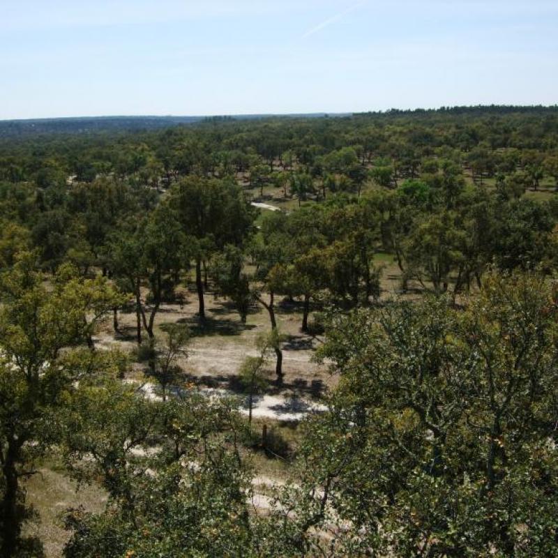 photo credits: Alzira Ramos