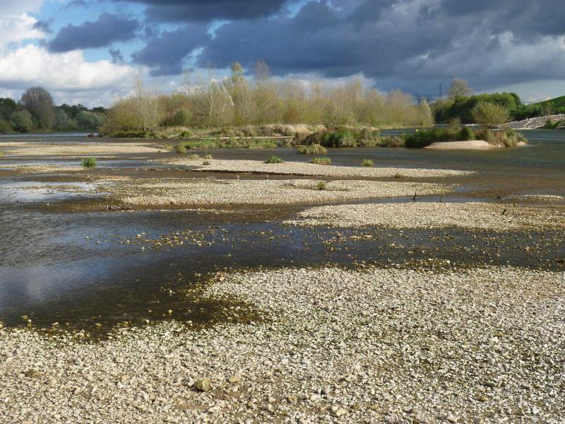 The island after fluvial management operations (photo by Marc Villar)