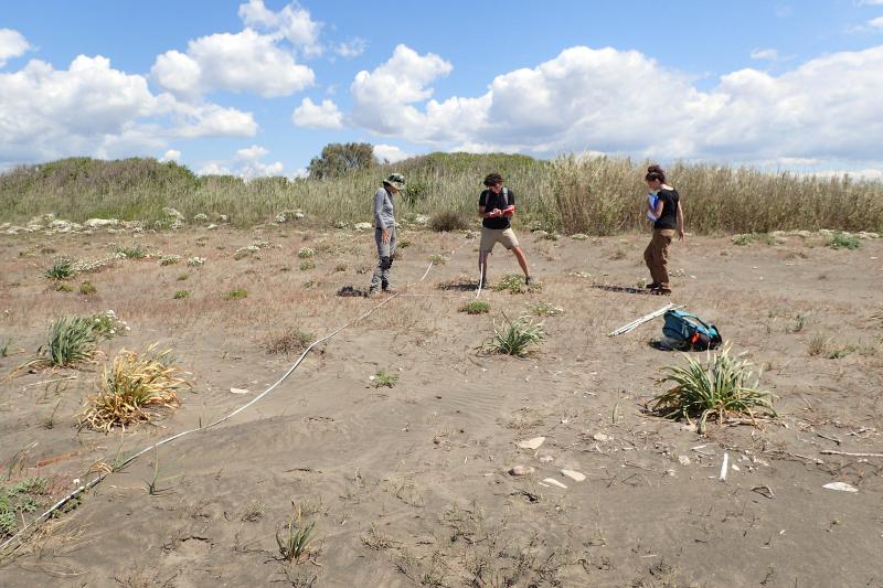 Operatori in campo durante l'esecuzione dei transetti per il rilievo delle specie vegetali.