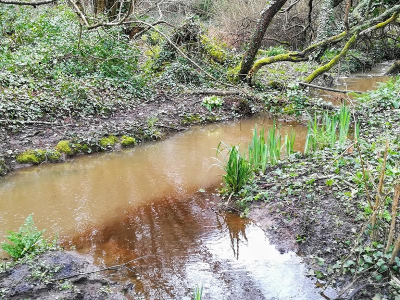 Guidel - iron-rich groundwater river mix to a surface water river