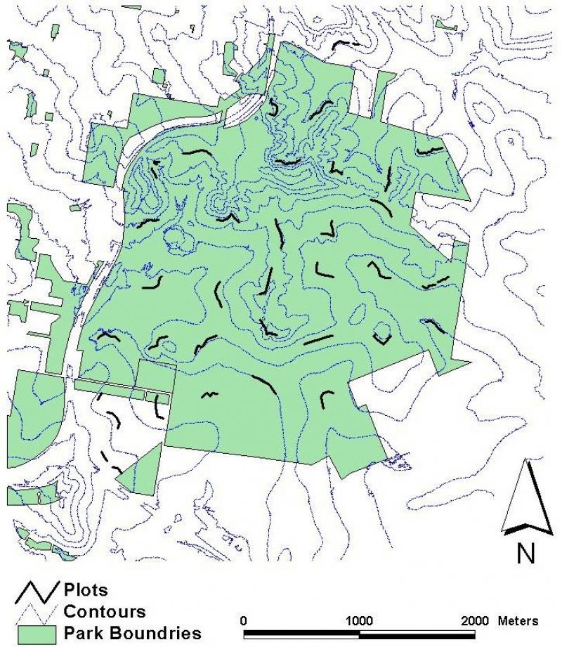 Geographic location of 32 PPBio LTER RAPELD plots