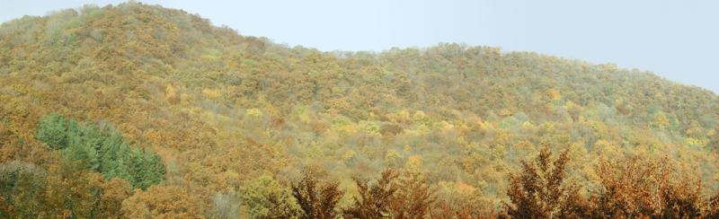 Panoramic View of the Var-hegy Strict Forest Reserve, Photo by F. HorvÃ¡th
