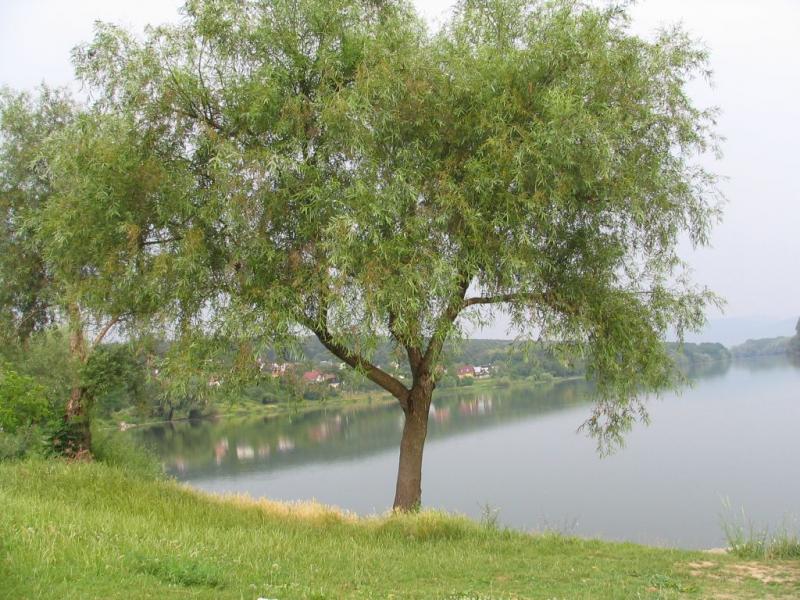 Water reservoir Sucha nad Parnou