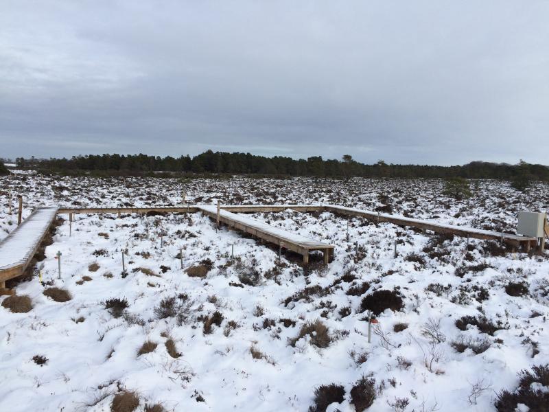 Ozone transect during the winter