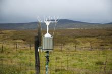 Precipitation chemistry monitoring, ECN Moor House [Photo by Andy Sier]