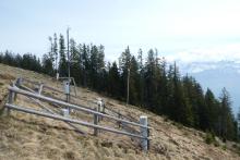 Meteorological station (open field) at Beatenberg. Photo: Peter Waldner, 2020