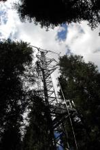 The Eddy covariance tower at LWF plot Davos. Photo: Marcus Schaub, 2011
