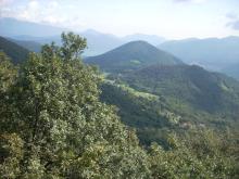 View from the LWF plot Novaggio in direction Curio, Caslano. Photo: Peter Waldner, 2008
