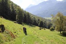 The meteorological station (open field) at Schänis. Photo: Maria Schmitt, 2016