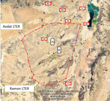 Boundaries of Negev Highland Platform