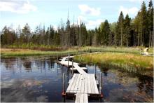 Floating walkways built over Följesjön. Photographer: Leif Klemedtsson 