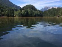 View from a boat on Lake Piburg towards north (picture: Ruben Sommaruga)