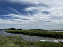 Photo of the salt marsh at PIE showing a boat in a water channel surrounded by grass.