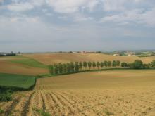 Côteaux de Gascogne, South-Western  France