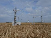 Measurement tower in the cropfield