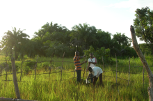AMMA-CATCH Benin : geochimical survey of the watertable. Photo : S. Galle