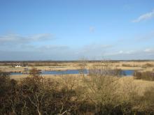 View over Hickling Broad