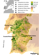 Map of sites in the LTsER Montado platform