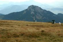 The site with climatic station, Mt. Sivý vrch in background